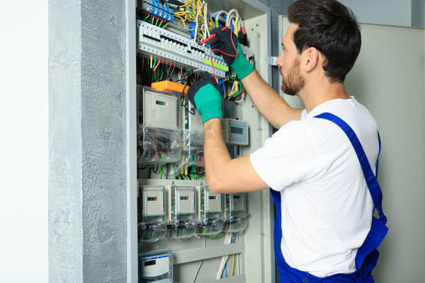 Best Electric Panel Repair  in Mountain View, HI
