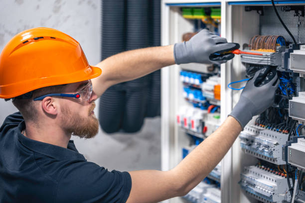 Best Electric Panel Repair  in Mountain View, HI